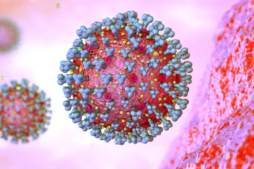 Штамм коронавируса «омикрон» добрался до Италии. ВОЗ признала новый вариант вируса угрозой