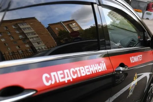 СК закрыл дело против подростка, ударившего внедорожник, который переехал его собаку СК закрыл дело против подростка, ударившего внедорожник, который переехал его собаку