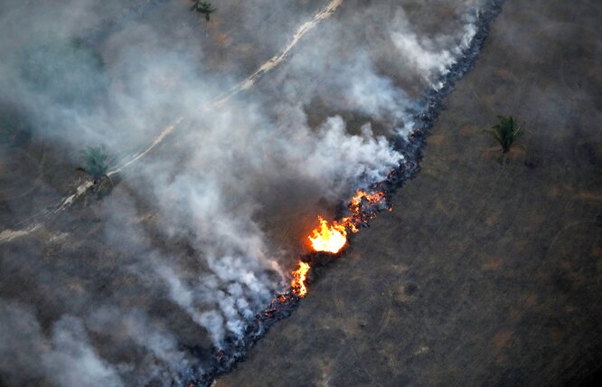 Лесной пожар в Бразилии,