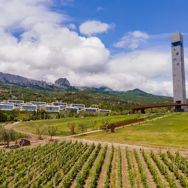 Центр винного туризма WINEPARK на базе курорта «Мрия» внедрил в работу искусственный интеллект