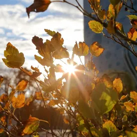 Гидрометцентр пообещал россиянам аномально теплую погоду в октябре