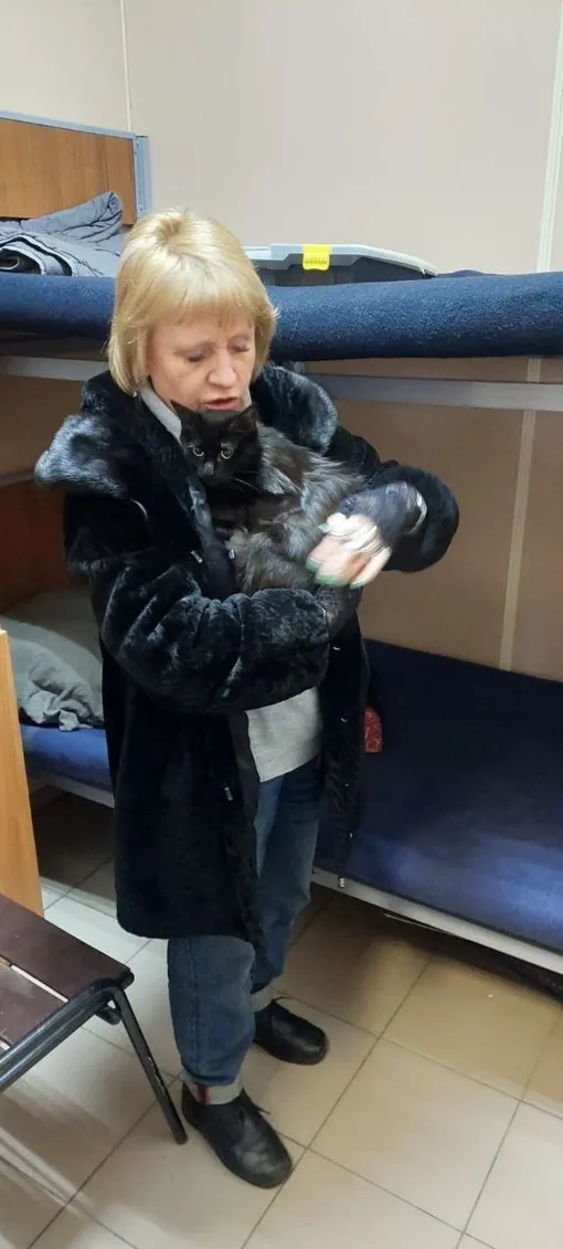 Кот Кот