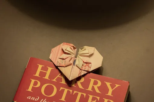 Коллекционер хотел выбросить книгу о Гарри Поттере из-за «плохого качества». В итоге он продал ее почти за $90 тысяч