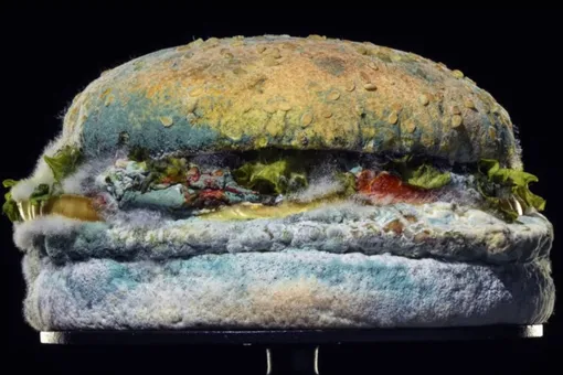 Burger King выпустил рекламный ролик с заплесневелым бургером. Так компания заявила, что отказывается от искусственных добавок