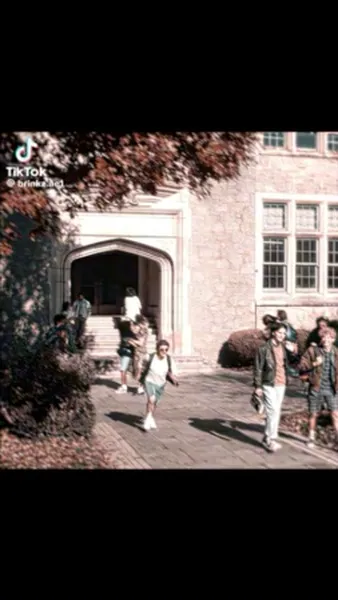 Смотреть Смотреть