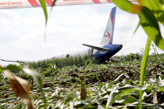 74 человека обратились в больницу после аварийной посадки самолета «Уральских авиалиний» на кукурузное поле в Жуковском
