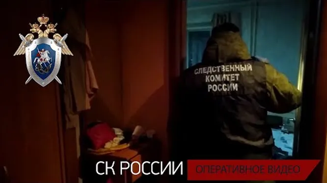 Смотреть