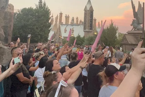 Фанаты «Гарри Поттера» почтили память сыгравшего Хагрида Робби Колтрейна, подняв вверх «волшебные» палочки и розовые зонтики