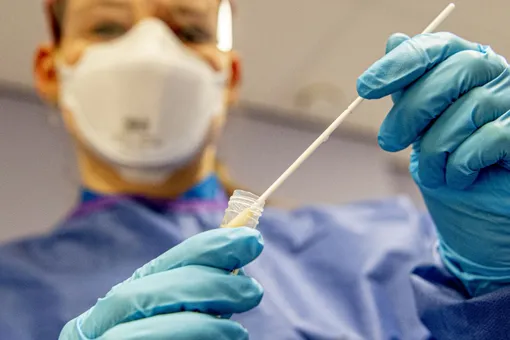 Роспотребнадзор начал испытывать вакцину от коронавируса. Идут испытания на животных