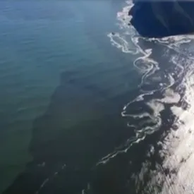 Юрий Дудь опубликовал видео с огромным нефтяным пятном возле Камчатки