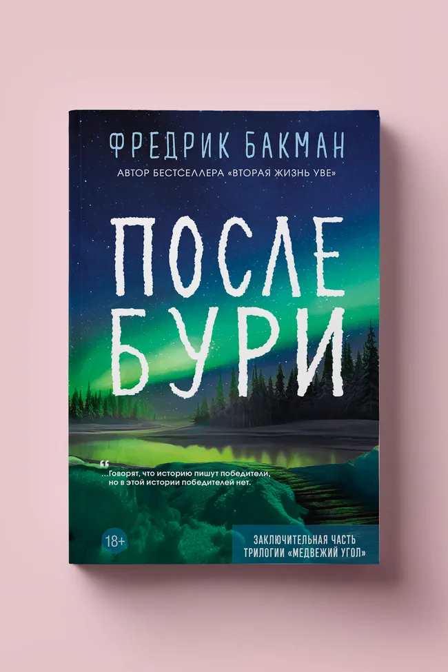 Чтение недели: новый роман Фредрика Бакмана «После бури»