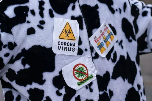Еще больше туалетной бумаги: в соцсетях набирают популярность новые шутки про коронавирус
