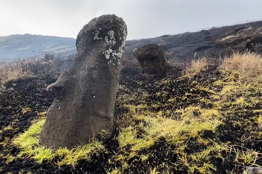 Пожар на острове Пасхи нанес «непоправимый ущерб» каменным статуям-монолитам