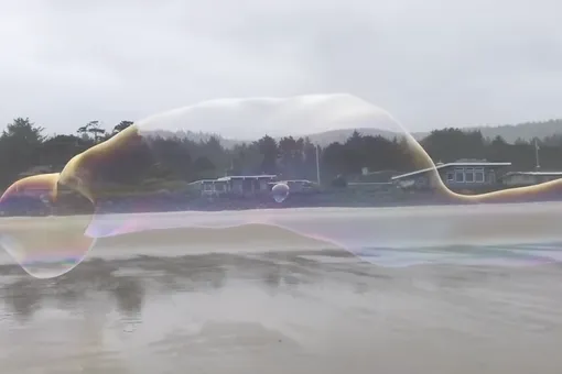 На пляже в Орегоне надули гигантский мыльный пузырь длиной в пару десятков метров. Только посмотрите, как красиво он лопается