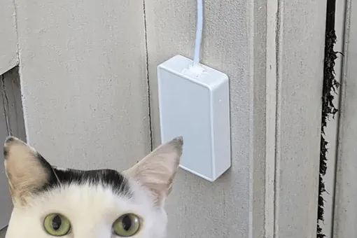Инженер сделал дверной «замок» для своего кота — устройство распознает мяуканье