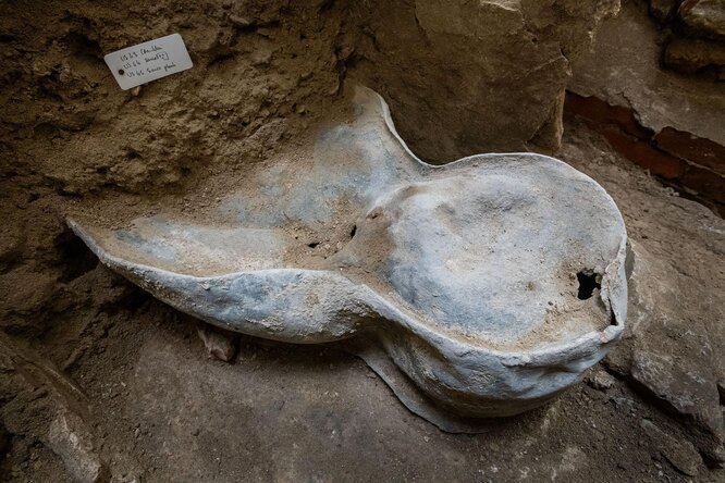В соборе Парижской Богоматери нашли несколько захоронений и свинцовый саркофаг XIV века