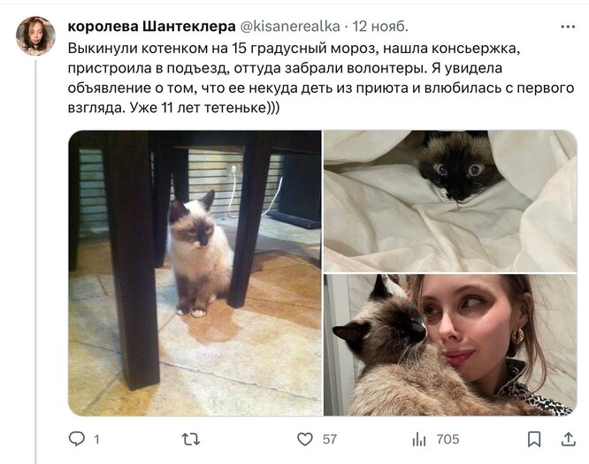 Соцсети Соцсети