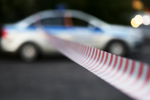 Подозреваемый в убийстве девятилетней девочки в Саратове признал вину
