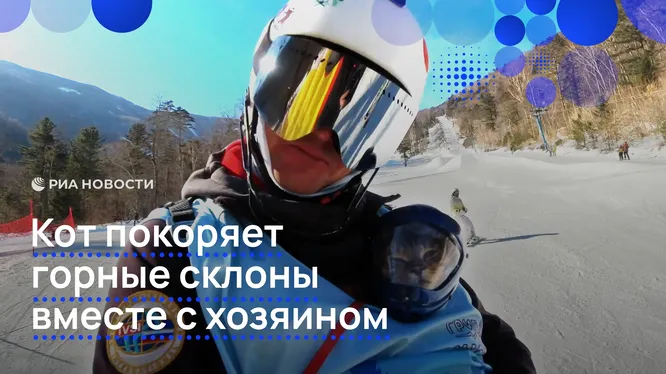 Смотреть