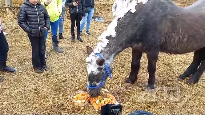 Смотреть