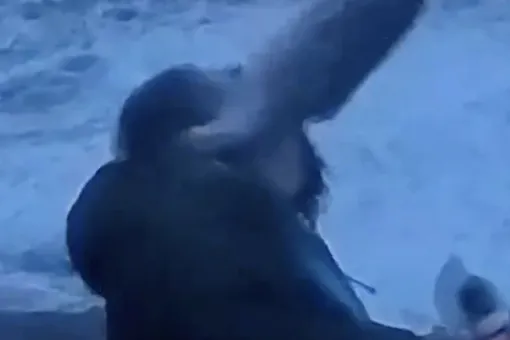Рыба ударила по лицу норвежца, снимавшего репортаж о бушующем шторме