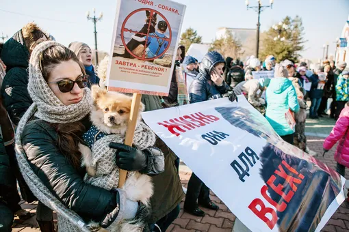 В России приняли первый в истории закон об обращении с животными. Запретили контактные зоопарки и усыпление животных