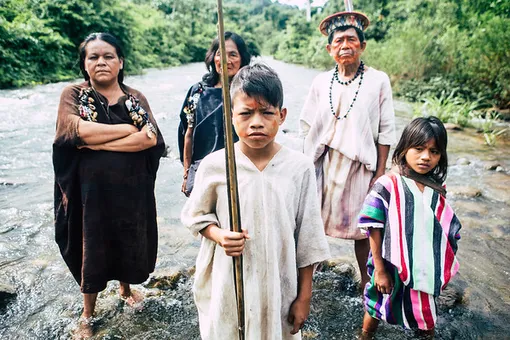 На территории «Флакона» открылся мультимедийный проект Amazonas
