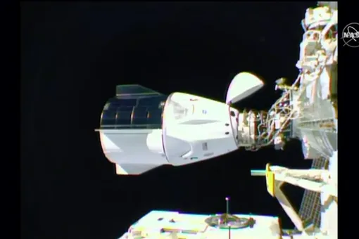 Корабль Crew Dragon успешно состыковался с МКС. Астронавты взяли с собой в космос малыша Йоду