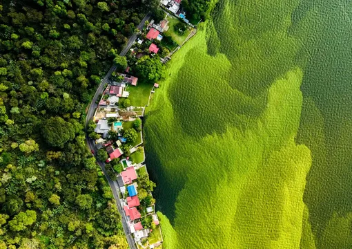 Лучшие фотографии дикой природы 2022 года