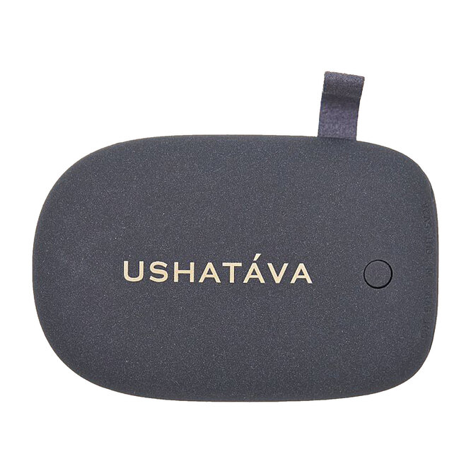 Пауэрбанк Ushatava, 2 500 руб.