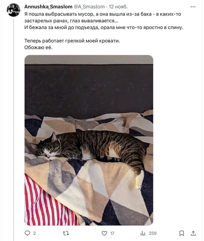 Соцсети Соцсети