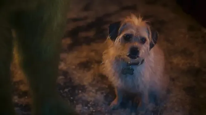 Смотреть Смотреть