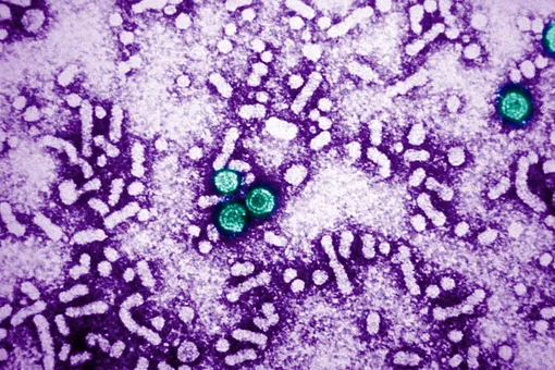 ВОЗ выявила почти 170 случаев острого гепатита неизвестного происхождения у детей от одного месяца до 16 лет