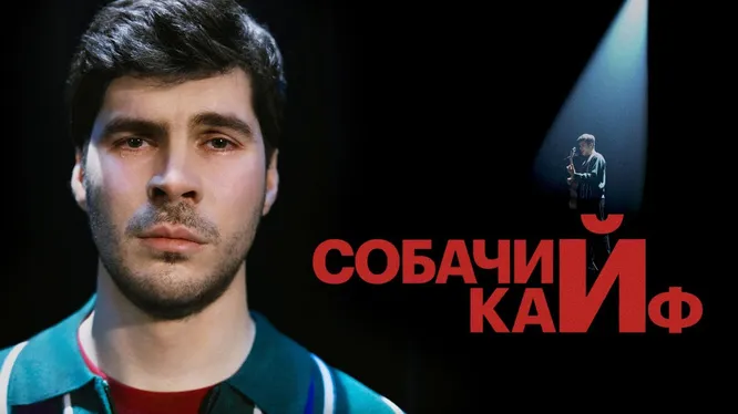 Смотреть
