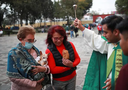 Женщины ждут, пока священник собора San Bernardino в Сиене благословит их собак Женщины ждут, пока священник собора San Bernardino в Сиене благословит их собак
