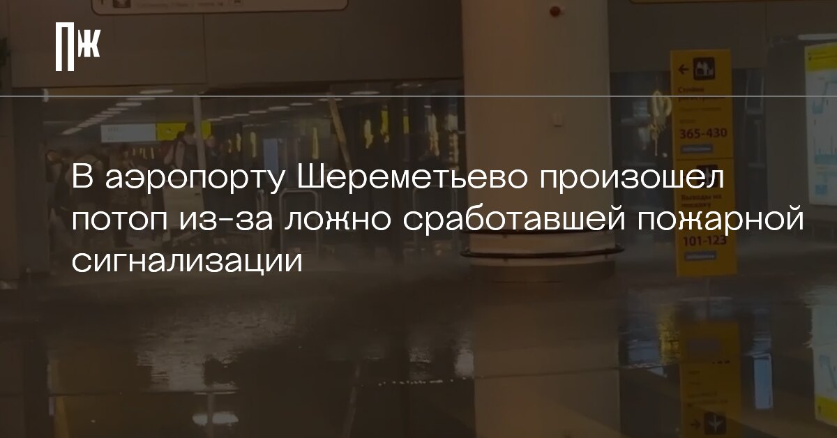 Что происходит в шереметьево. Потоп в шереметьево. пожарная сигнализация в аэропорту. сработала сигнализация шереметьево. потоп в аэропорту шереметьево из за сигнализации.