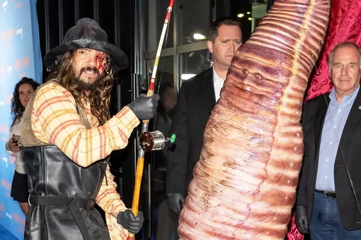 Дождевой червь: Хайди Клум снова превзошла всех своим костюмом на Хеллоуин