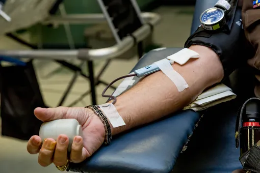 В Госдуму внесли законопроект о поставках донорской крови для производства лекарств