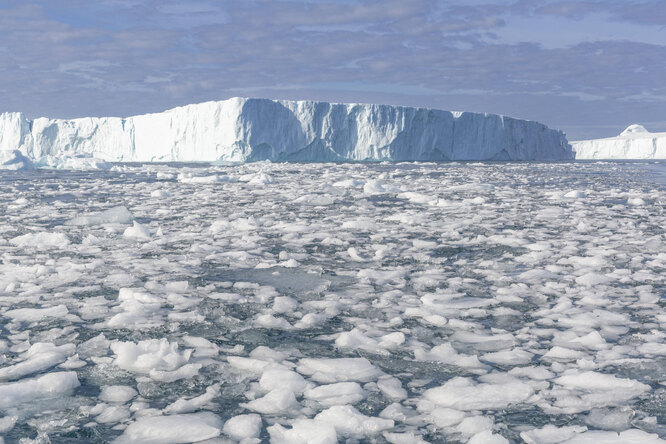 Компания из Гренландии запустила доставку ледникового льда в бары Дубая
