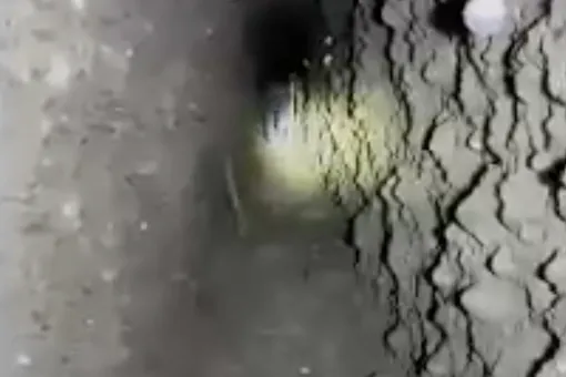 В доме жителя Киргизии нашли 130-метровый тоннель в Узбекистан