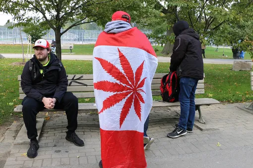В Канаде легализовали марихуану — и она в стране закончилась за 2 недели