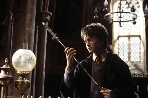 Волшебную палочку и очки Гарри Поттера выставят на аукцион