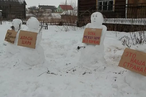 Жительница Архангельской области устроила митинг снеговиков. Полиция его разогнала и забрала плакаты
