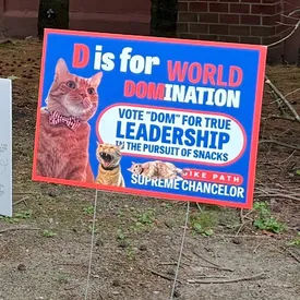 В США завершились выборы на пост мэра среди кошек