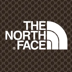 Gucci и The North Face анонсировали коллаборацию Gucci и The North Face анонсировали коллаборацию