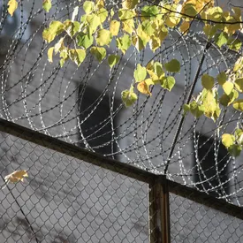 В Дагестане шестеро заключенных сбежали из тюрьмы, вырыв тоннель под стеной В Дагестане шестеро заключенных сбежали из тюрьмы, вырыв тоннель под стеной