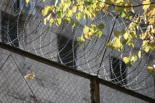 В Дагестане шестеро заключенных сбежали из тюрьмы, вырыв тоннель под стеной