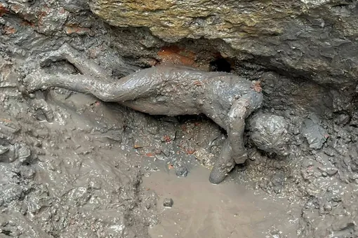 В Италии нашли 24 статуи древнеримской эпохи. Они пролежали в грязи 2 тысячи лет — и при этом прекрасно сохранились