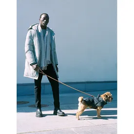 Arket выпустили коллекцию пуховиков из переработанных материалов — там есть даже одежда для собак