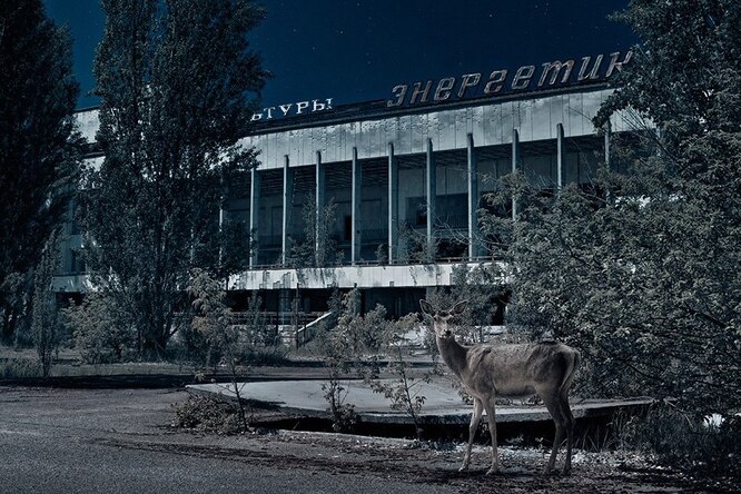 Sony запускает виртуальные экскурсии по Чернобылю